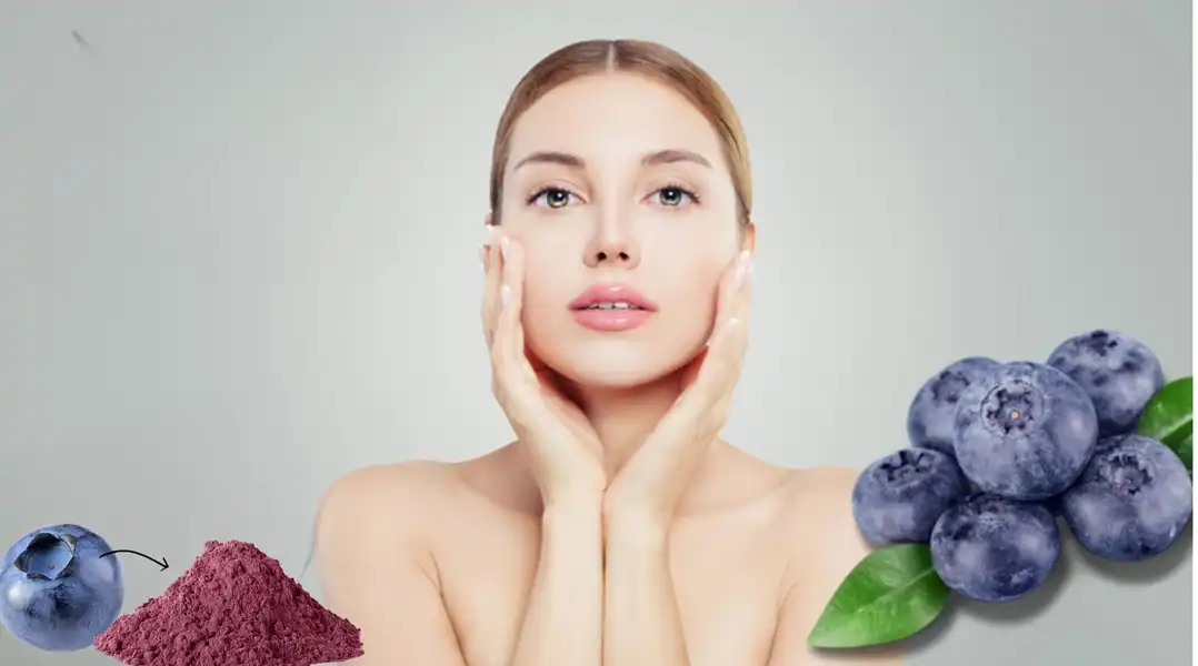 Blueberry Extract Anthocyanins for Skin Health